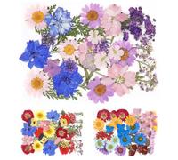96Pcs Dried Pressed Flowers,Real Natural Dry Flower for Crafts,Colorful Pressed Flowers and Leaves Kit,Decorative Dried Flower for DIY Art Craft Jewelry Candle Soap Phone Case Scrapbooking(Style 2)