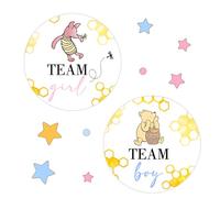 96PCS Winnie Gender Reveal Decorations, Winnie Baby Shower Decoration, The Pooh Stickers, Team Boy Or Girl Stickers, Gender Reveal Games for Voting Game, Gender Reveal Party