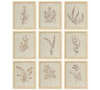 97 Decor Botanical Wall Art - Vintage Botanical Prints, Plant Art Wall Decor, Neutral Floral Wall Art Pictures, Beige Flower Poster Paintings, Flower Sketch Drawing for Bedroom (8x10 UNFRAMED)