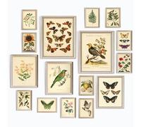 97 Decor Large Botanical Wall Art 28 x 35.6 cm - Vintage Botanical Prints, Floral Images, Butterflies and Birds for Home, Bedroom (Unframed)