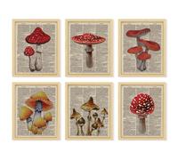 97 Decor Vintage Mushroom Poster - Mushroom Wall Decor, Retro Mushroom Wall Art Prints, Cottagecore Room Decor Aesthetic, Earthy Dictionary Mushroom Picture for Home Bedroom (8x10 UNFRAMED)