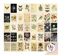 97 Decor Vintage Wall Collage Kit - Mini Posters For Room Aesthetic, Cottage Core Wall Decor, Vintage Botanical Wall Art Prints, Cottagecore Plant Pictures Flower Art Nature Decor For Bedroom (4x6)