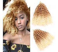 9Bundles Passion Twist Hair Marlybob Crochet Braids Hair Kinky Curly Crochet Hair Marly Twist Crochet Hair Short Crochet Hair Extensions for Black Women (8Inchs(9bundles), #T27-613)