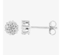 9ct White Gold 0.2ct Diamond Cluster Stud Earrings SKE17445-20