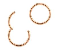 (9mm 16G) 2PCS Titanium Implant Grade Septum Jewellery Hinged Segment Ring Body Piercing Hoop Lip Rings Helix Cartilage Rook Sleeper Earrings Nickel Free Hypoallergenic