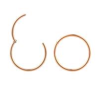 (9mm 20G) 2PCS 316L Surgical Steel Hypoallergenic Septum Jewellery Hinged Segment Ring Body Piercing Hoop Lip Rings Helix Cartilage Rook Sleeper Earrings