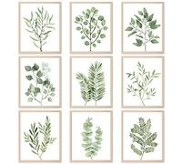 9PCS Botanical Plant Wall Art Prints Green Plant Wall Decor Boho Herb Wall Decor Pictures Minimalist Wall Art Photo Prints for Living Room Kitchen Leaves (8"x10", Unframed)