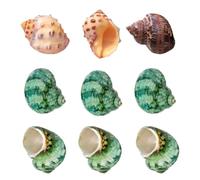 9PCS Hermit Crab Shells Natural Sea Conch Size 0.8" - 1.6", Opening Size 0.4" - 1.2" Turbo Seashells for Small Medium and Large Crabs