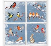 9sheets Robin Winter Window Stickers for Glass Double-Sided Bird Snow Scene Christmas Window Clings Decals Removable Festive Window Decorations (Snow and Bird)