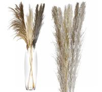 9x Natural Dried Pampas Grass Arrangement Reed Flower Tall Bouquet Vase Decor