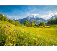 9x6FT (2.7x1.8m) Alpine Meadow Mountain Valley Photography Backdrop