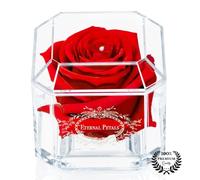 A 100% Real Rose That Lasts Years - Eternal Petals, Handmade in UK, Flowers Delivery - White Gold Solo with A Clear Crystal (Red)