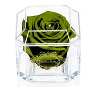 A 100% Real Rose That Lasts Years - Eternal Petals, Handmade in UK - Gold Solo with A Clear Crystal (Dark Green)