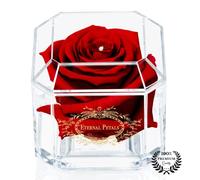 A 100% Real Rose That Lasts Years - Eternal Petals, Handmade in UK - Gold Solo with A Clear Crystal (Deep Red)