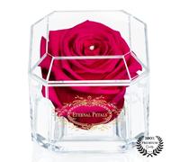 A 100% Real Rose That Lasts Years - Eternal Petals, Handmade in UK - Gold Solo with A Clear Crystal (Fuchsia)