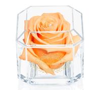 A 100% Real Rose That Lasts Years - Eternal Petals, Handmade in UK - Gold Solo with A Clear Crystal (Peach)