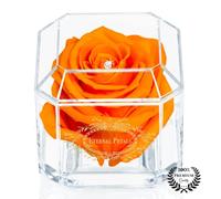 A 100% Real Rose That Lasts Years - Eternal Petals, Handmade in UK - Gold Solo with A Multicolour Crystal (Orange)