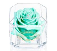 A 100% Real Rose That Lasts Years - Eternal Petals, Handmade in UK - Gold Solo with A Multicolour Crystal (Mint)