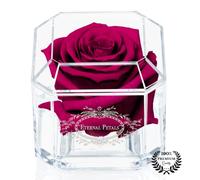 A 100% Real Rose That Lasts Years - Eternal Petals, Handmade in UK - White Gold Solo (Cherry)