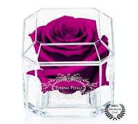 A 100% Real Rose That Lasts Years - Eternal Petals, Handmade in UK - White Gold Solo (Plum)
