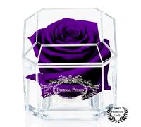 A 100% Real Rose That Lasts Years - Eternal Petals, Handmade in UK - White Gold Solo (Purple)