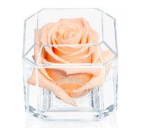A 100% Real Rose That Lasts Years - Eternal Petals, Handmade in UK - White Gold Solo with A Clear Crystal (Delicious Peach)