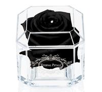 A 100% Real Rose That Lasts Years - Eternal Petals, Handmade in UK - White Gold Solo with A Clear Crystal (Black)