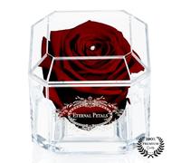 A 100% Real Rose That Lasts Years - Eternal Petals, Handmade in UK - White Gold Solo with A Clear Crystal (Burgundy)