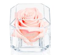 A 100% Real Rose That Lasts Years - Eternal Petals, Handmade in UK - White Gold Solo with A Clear Crystal (Blush)