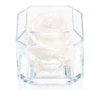 A 100% Real Rose That Lasts Years - Eternal Petals, Handmade in UK - White Gold Solo with A Clear Crystal (White)