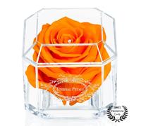 A 100% Real Rose That Lasts Years - Eternal Petals, Handmade in UK - White Gold Solo with A Clear Crystal (Orange)