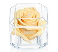 A 100% Real Rose That Lasts Years - Eternal Petals, Handmade in UK - White Gold Solo with A Multicolor Crystal (Champagne)