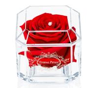 A 100% Real Rose That Lasts Years - Eternal Petals, Handmade in UK - White Gold Solo with A Multicolor Crystal (Red)