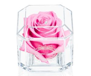 A 100% Real Rose That Lasts Years - Eternal Petals, Handmade in UK - White Gold Solo with A Multicolor Crystal (Pink)
