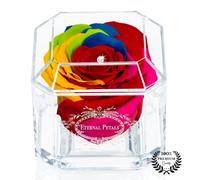A 100% Real Rose That Lasts Years - Eternal Petals, Handmade in UK - White Gold Solo with A Multicolour Crystal (Rainbow)