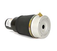 Arnott A-2571 Air Spring, suspension