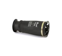 Arnott A-2755 Air Spring, suspension