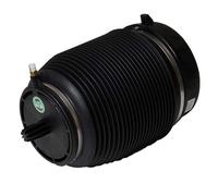A-2960 Rear Right Left Air Suspension Spring Strut Shock Absorber By Arnott