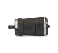 Arnott A-3025 Air Spring, suspension