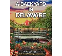 A Backyard In Delaware