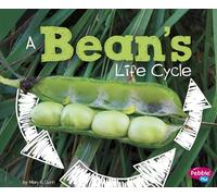 A Bean's Life Cycle (Explore Life Cycles)