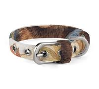 A Bear on The Beach Dog Collar Adjustable Martingale Pet Collar Female Male Cute Cat Collars No Pull Dog Choker Collars for Small Medium Large Pet