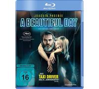 A BEAUTIFUL DAY - MOVIE