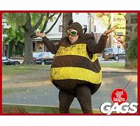 A Bee's Life