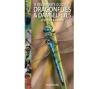 A Beginner's Guide to Dragonflies & Damselflies of Britain & Ireland