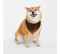 A Big Spider Pet Scarf for Dogs - Triangle Drool Scarf Suitable for Small, Medium, and Large Dogs, Black, Dog Bandanas