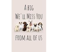 A big We'll Miss You from all of us: Perfect goodbye gift for coworker that is leaving / going away gift for your co worker, boss, manager, employee.