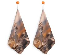 A Bird Landing on The Ground Hand Towels Quick Drying Absorbent Soft Washcloth Towel for Kitchen Bathroom Home