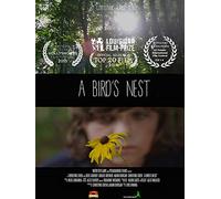 A Bird's Nest