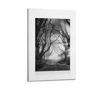 A Black And White Canvas of A Foggy, Mysterious Tree Tunnel with Light Rays Breaking through The Branches Poster Decorative Painting Canvas Wall Posters And Art Picture Print Modern Family Bedroom Dec